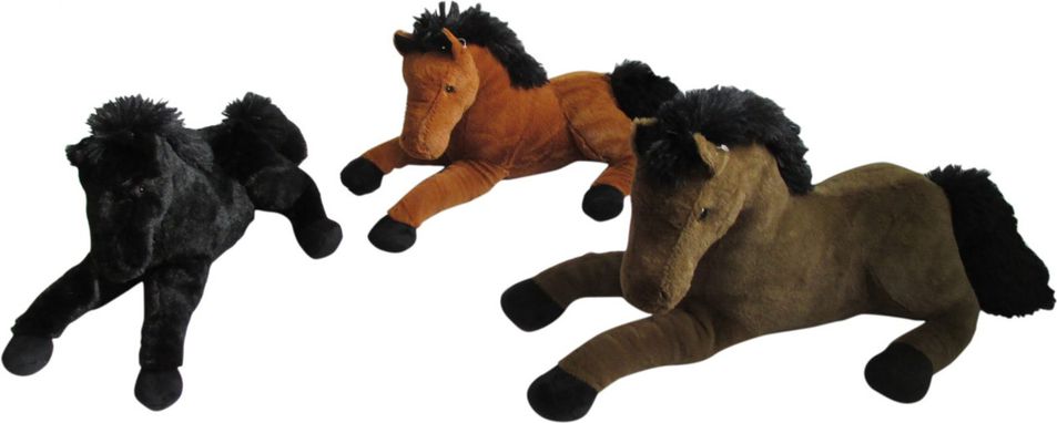 Sandy Koń z głosem