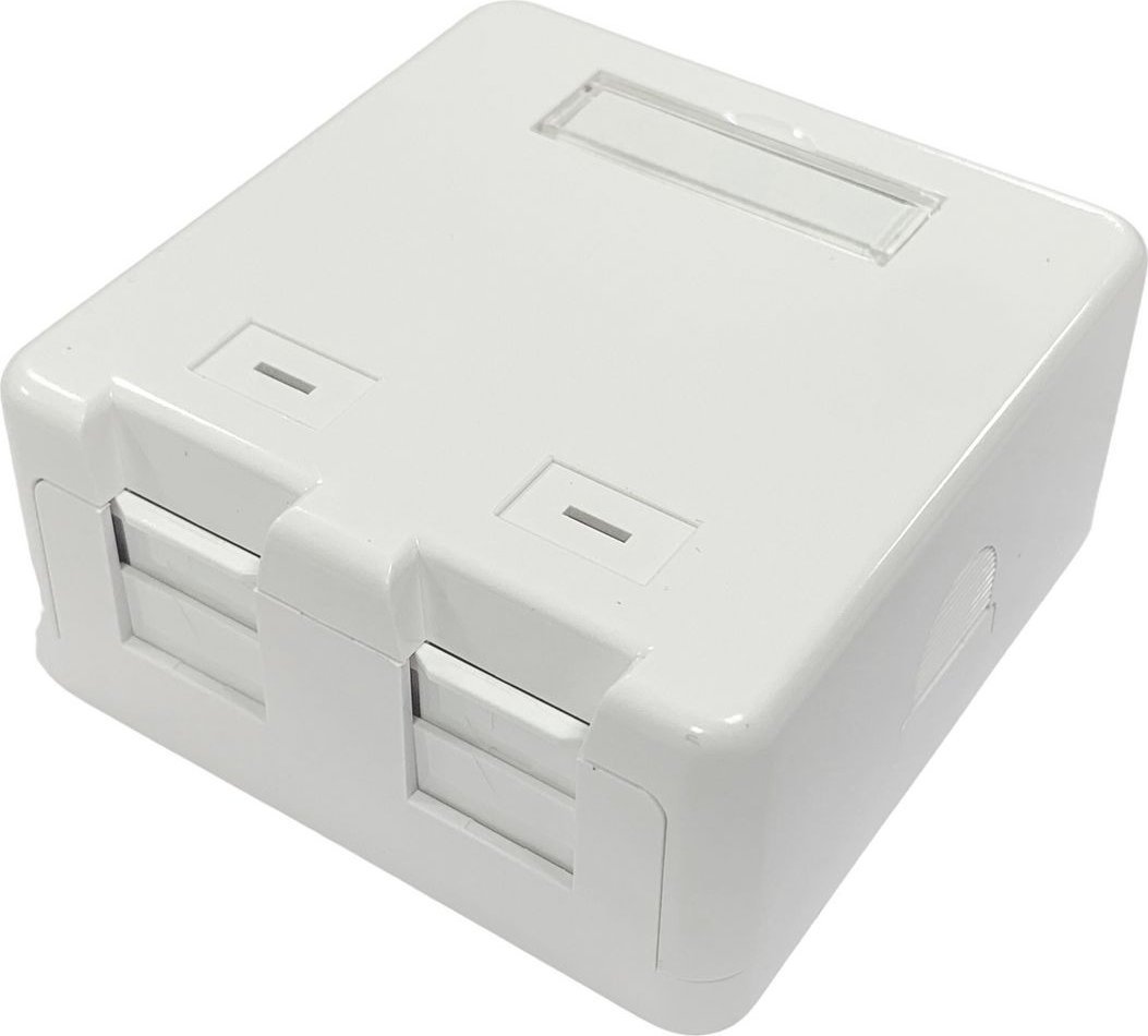 Lanview Surface mount box for 2 x