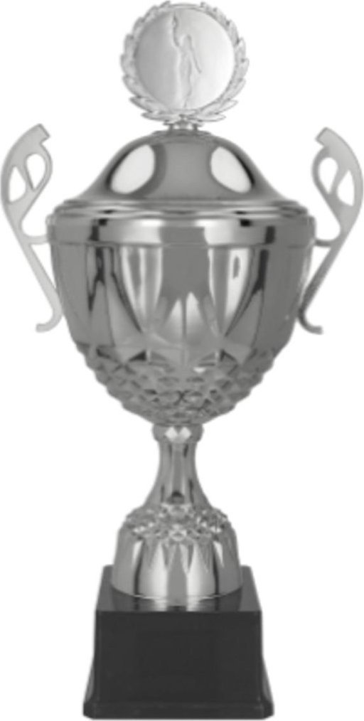 Victoria Sport Puchar metalowy srebrny z przykrywką MUFAS
