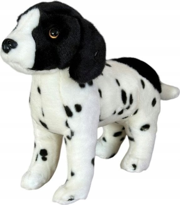 Dubi Pies angielski pointer stojący 28cm 32157