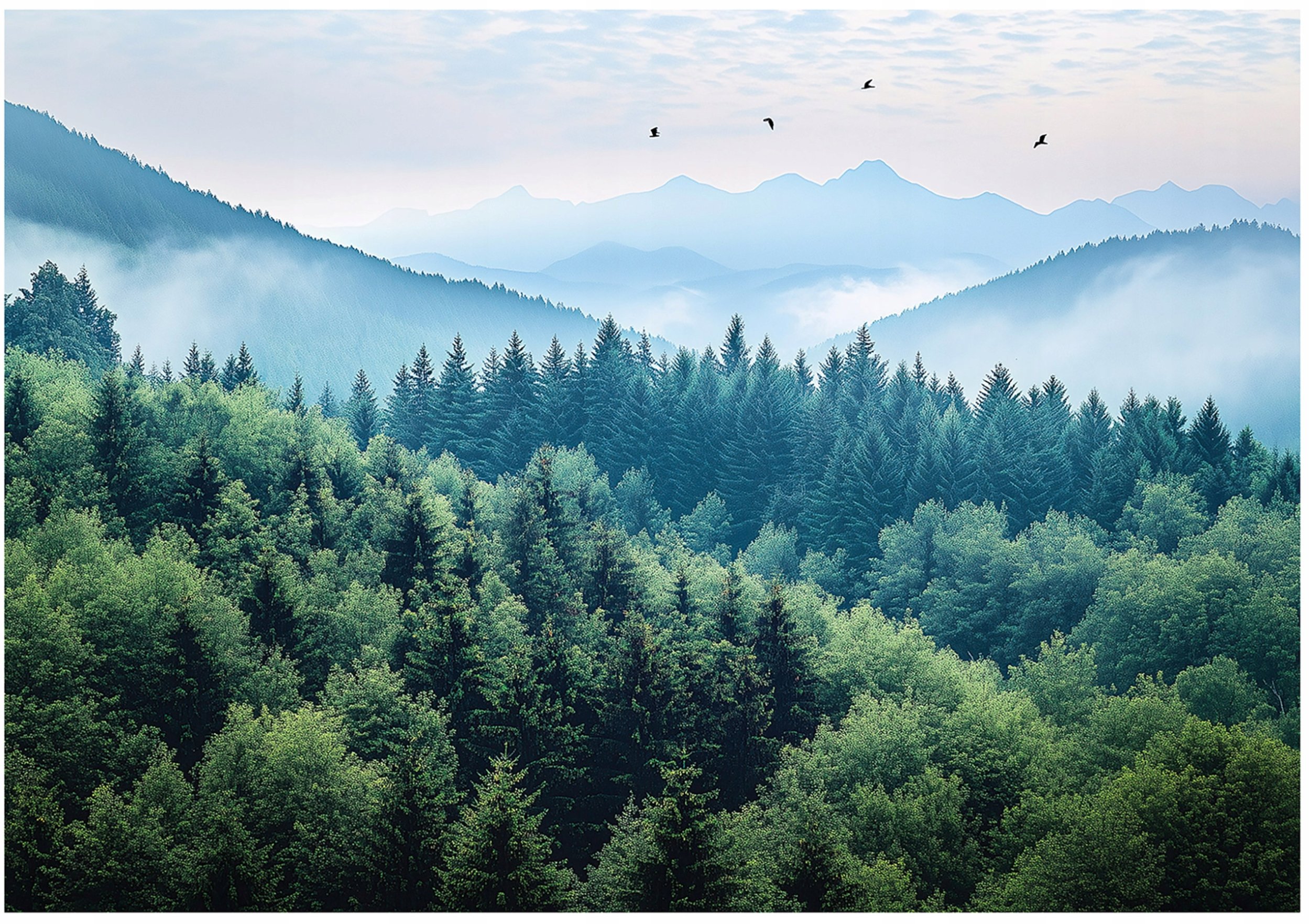 Fototapeta 3D Góry Las Mgła Natura Sypialnia Salon Tapeta Flizelina 300X210