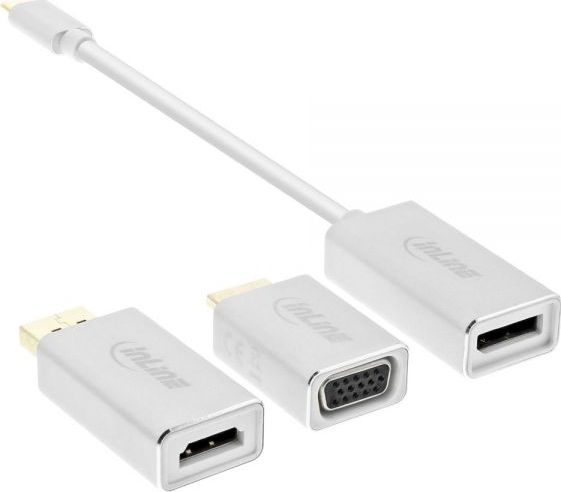 Adapter USB InLine USB-C - DisplayPort Biały (64109S)