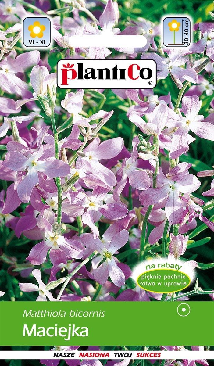 Plantico Maciejka 0,5g