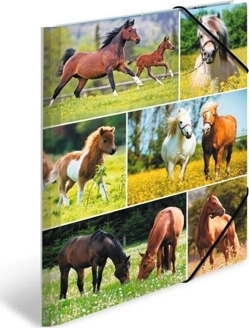 Teczka A4 gumki narożne - Konie na łące