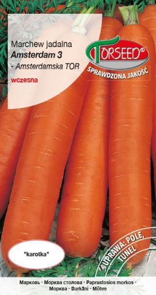 Torseed Nasiona Marchew Amsterdam 3, 5g