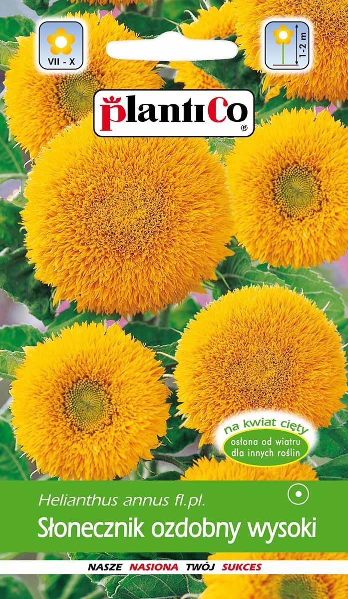 Plantico Słonecznik Ozdobny Heliathus Wysoki 2g PlantiCo