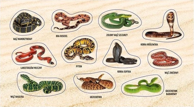 Teka Naklejki Żmije i węże 2.0