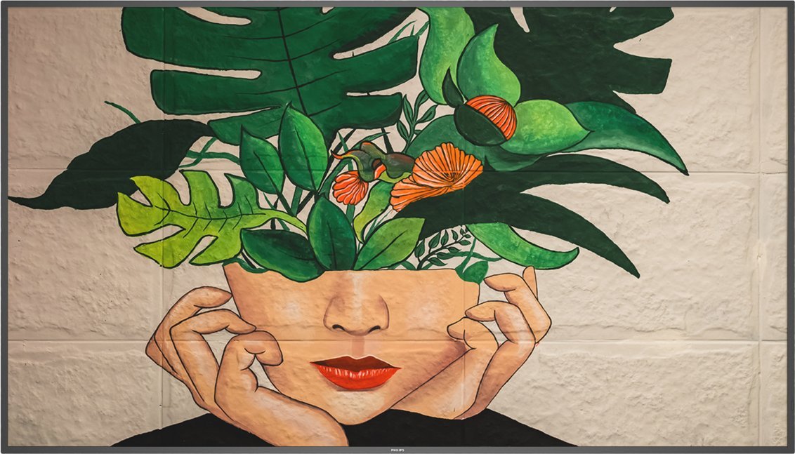 Monitor Philips D-Line 75BDL4511D/00