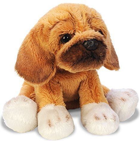 Suki Siedzący pies Puggle