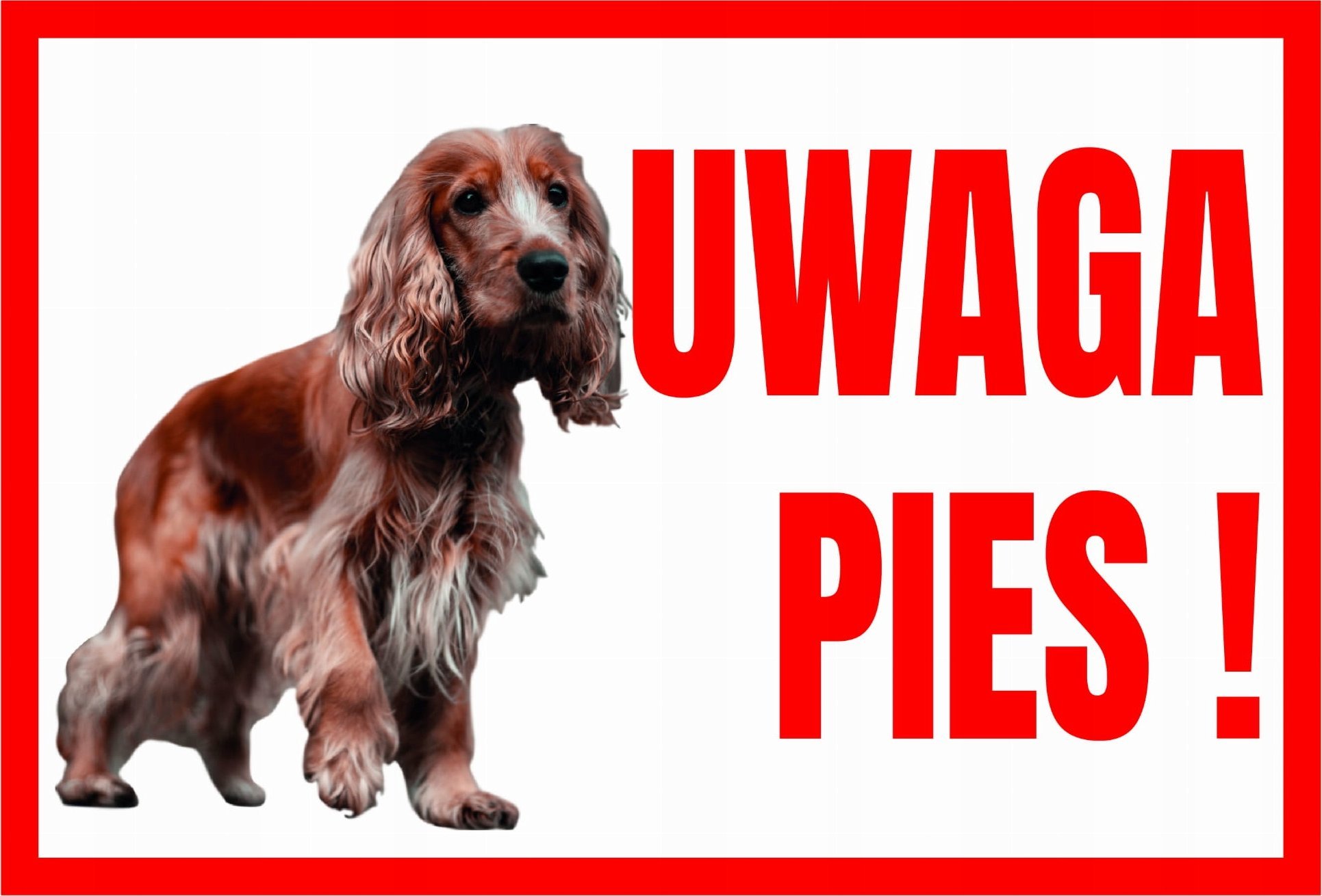 Mój dom Uwaga Pies ! Spaniel - Tabliczka Ostrzegawcza Libres Polska Sp Tup-1 5902082237419
