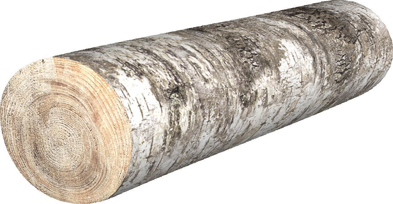 Bertoni-arco Poduszka Wałek - Brzoza 16x55 cm