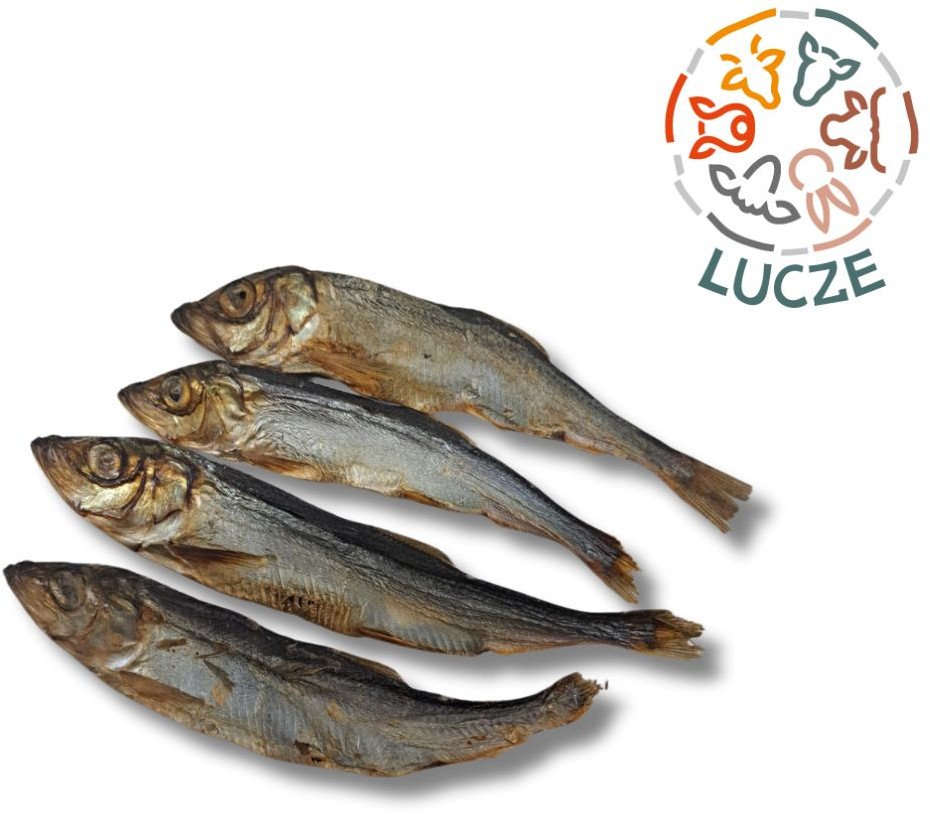 Lucze śledź bałtycki suszony przysmak 100% naturalny 100g