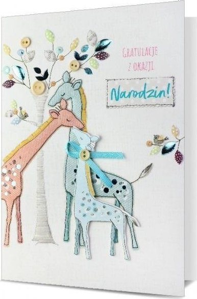 Pan Dragon Karnet B6 Narodziny