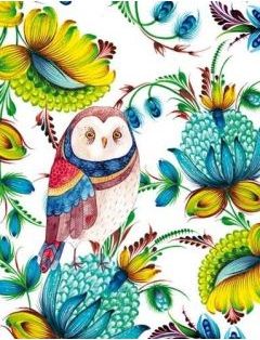 Fresh Notatnik ozdobny 128x1165/64K kratka Sowa