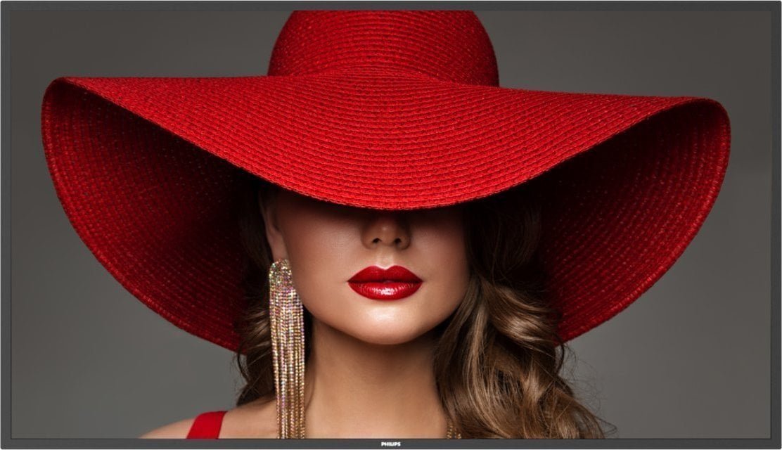 Monitor Philips D-Line 50BDL4650D/00