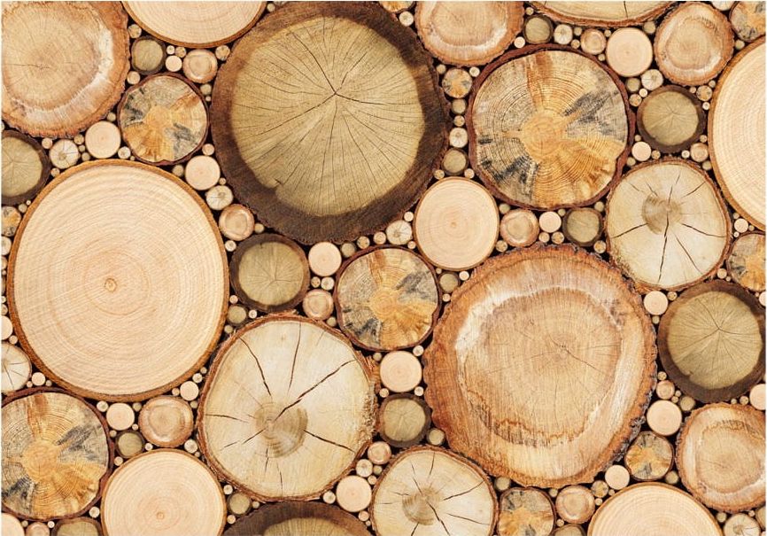 DecoNest Fototapeta - Słoje drewna - 200X140