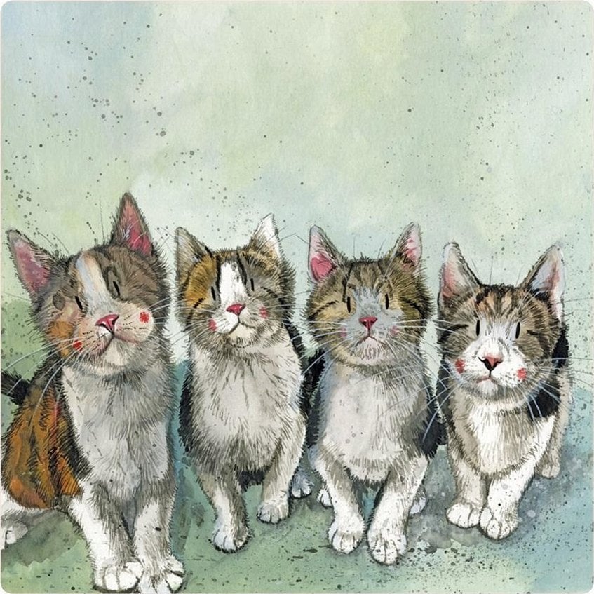 Teka Magnes FM214 Cztery kotki