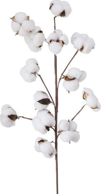 Boltze Sztuczna gałązka bawełny, 68 cm