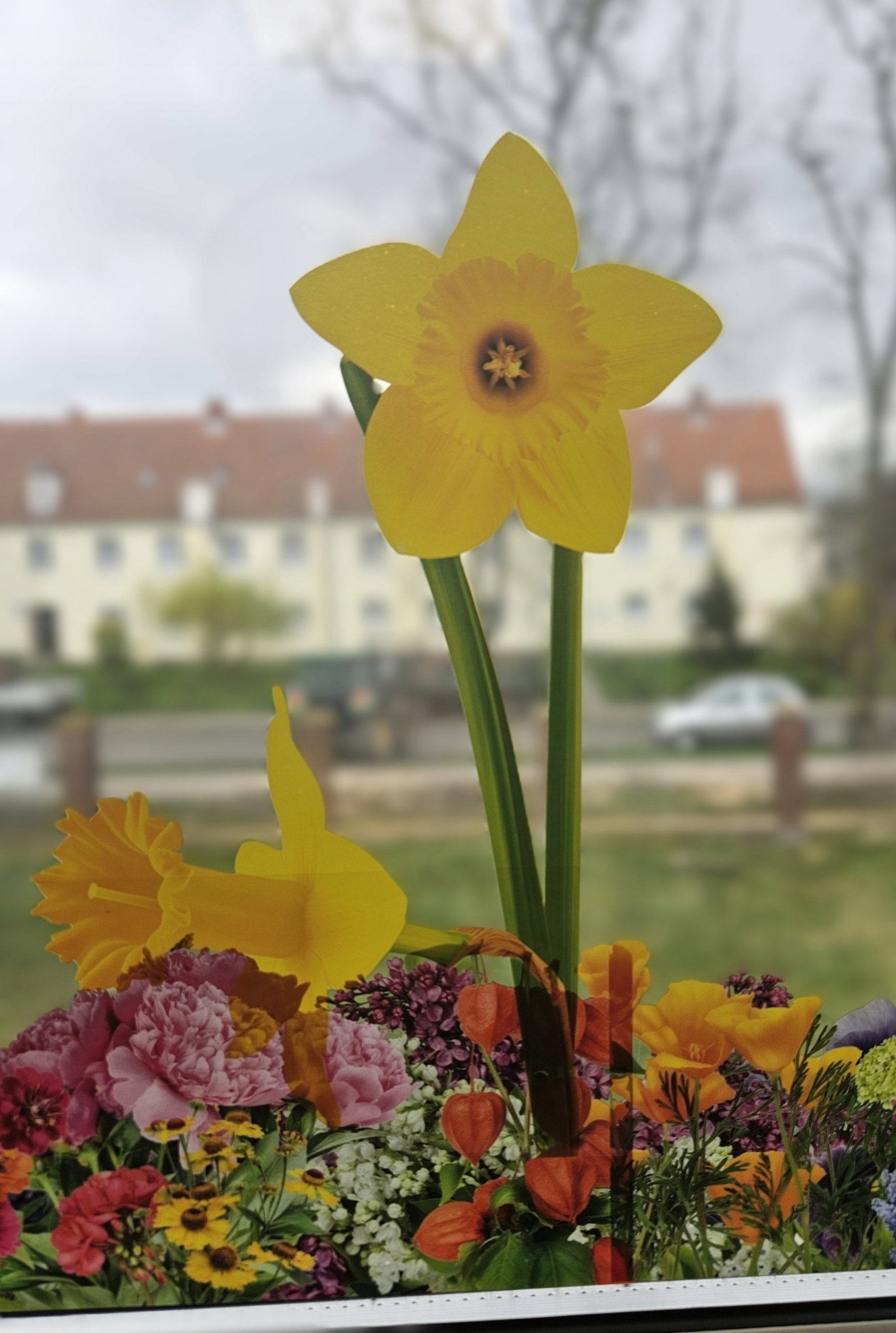 Teka Wiosenne kwiaty Żonkile 3szt