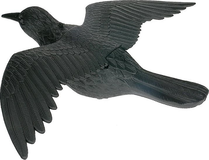 NO PEST Odstraszacz Ptaków Gołębi Szpaków Makieta Ptaka Kruk w Locie Odstraszający Ptaki