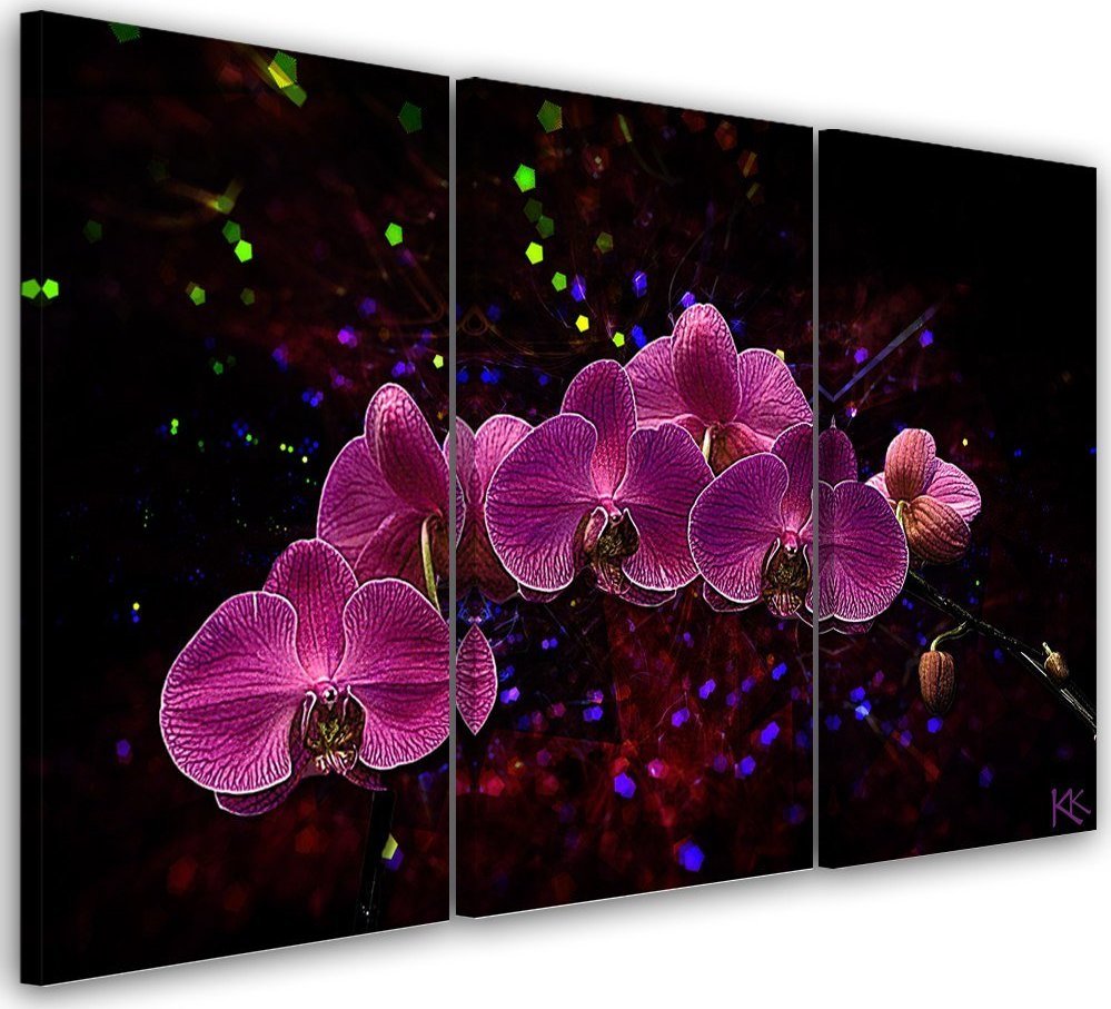 Feeby Obraz trzyczęściowy na płótnie, Orchidea na ciemnym tle - 120x80