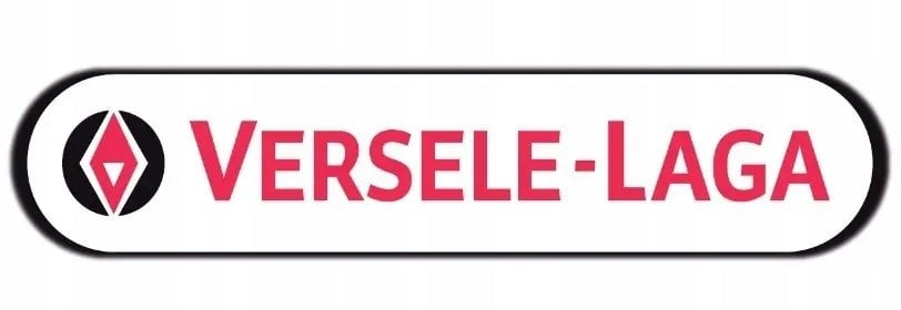 VL-MN 10 kul tłuszczowych w folii karma dla ptaków 900g