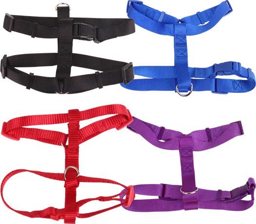 Nobleza Szelki -Solidny zestaw cztery stopy Solidny zestaw cztery stopy