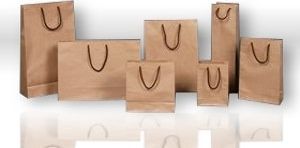 Rozette Torebka kraft (6) horyzontalna 37x25x11 op=10szt.