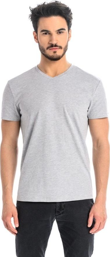 Teyli T-shirt męski bawełniany Dany V szary 3XL Szary