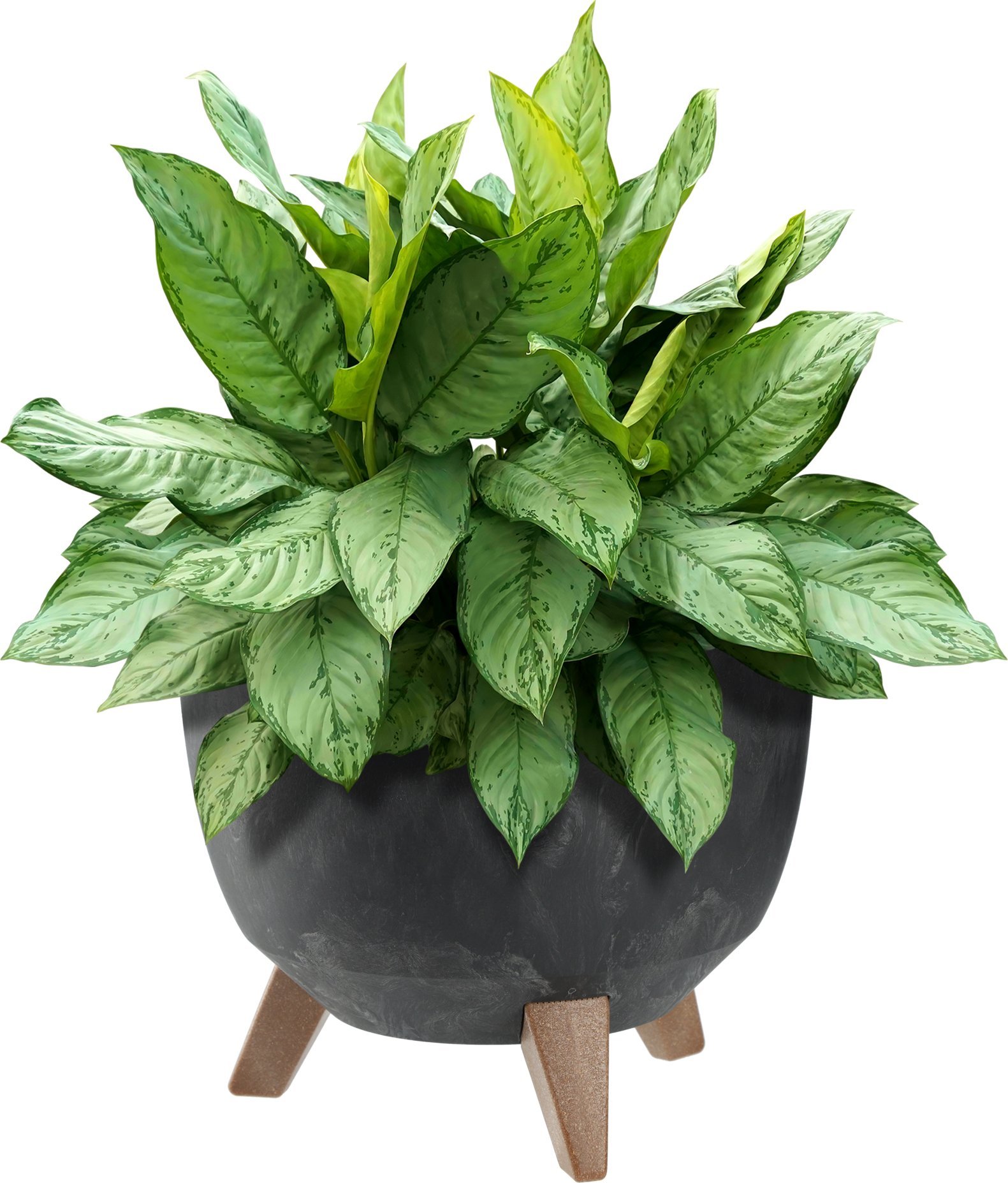 KADAX Doniczka Donica Na Kwiaty 29cm Osłonka + Wkład Nóżki Korek Kwietnik Czarna