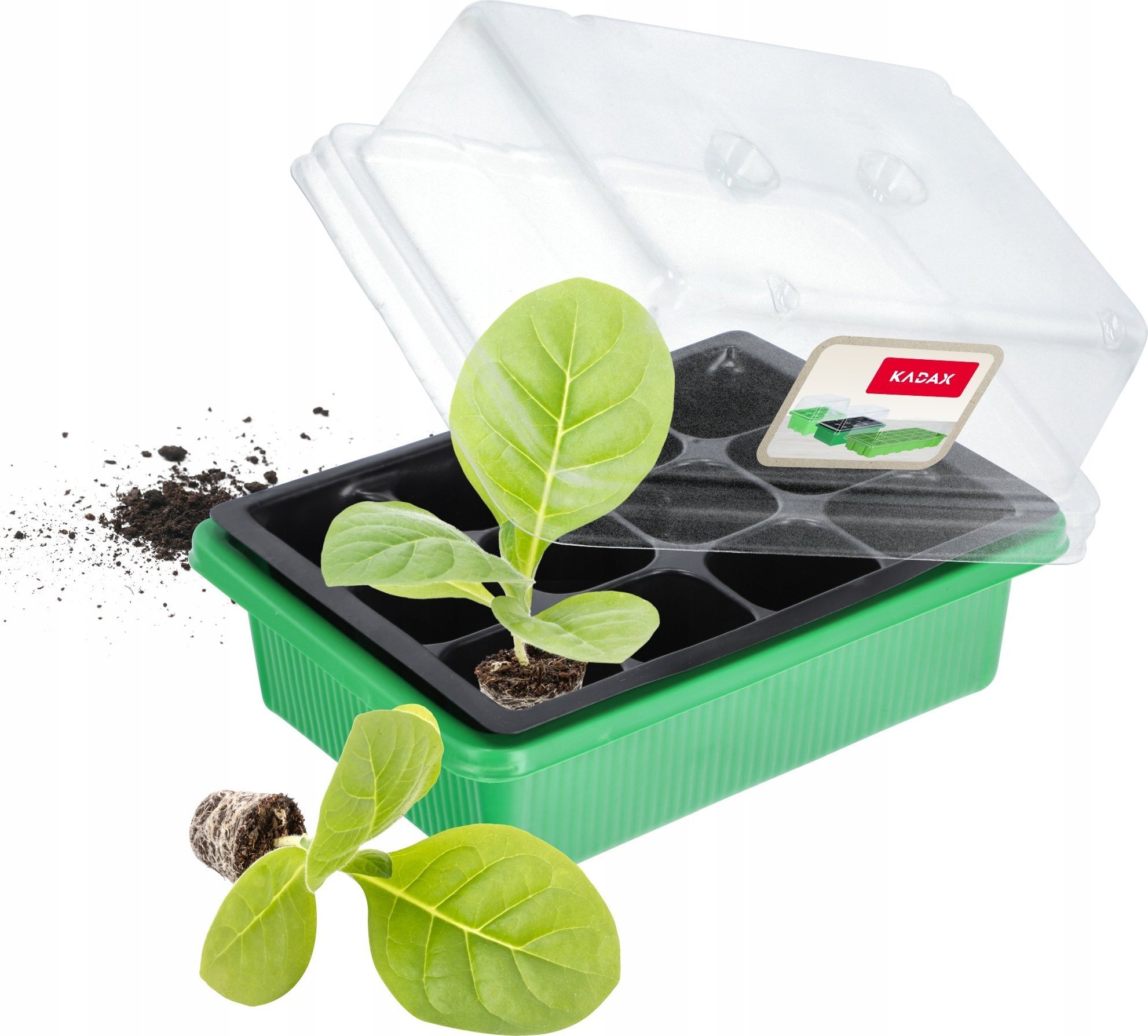 Kadax Miniszklarnia Tacka Do Kiełkowania Nasion 12 Komór