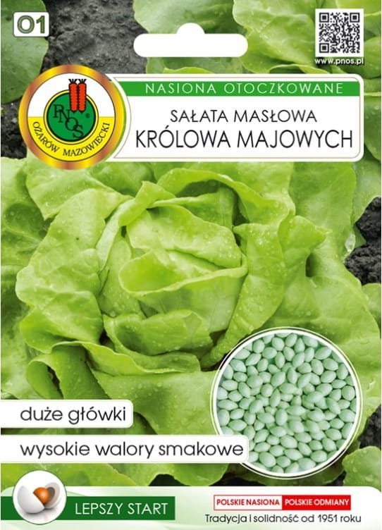 Sałata Królowa Majowych 100 nasion wczesna odmiana