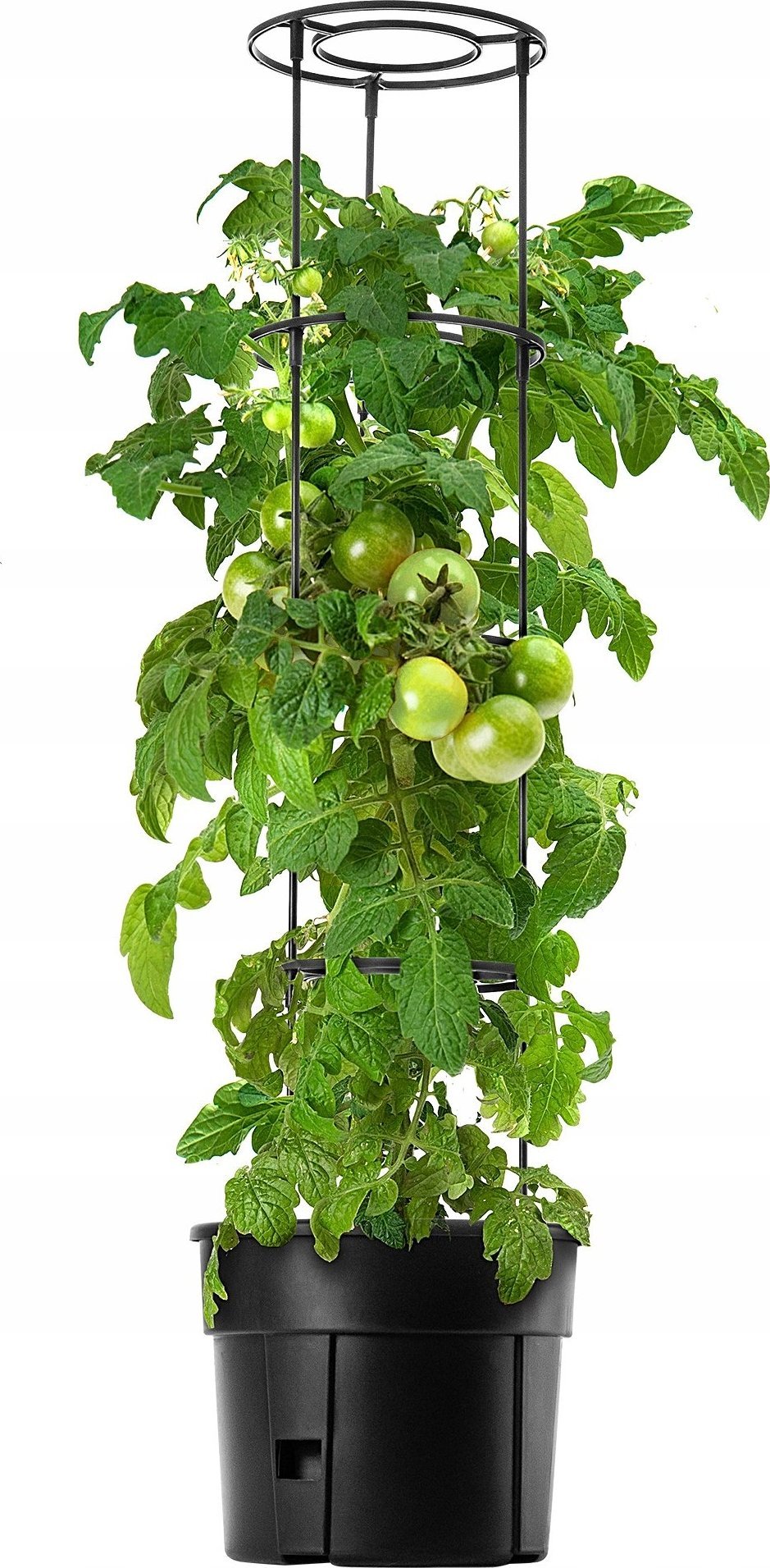 Kadax KADAX Doniczka Na Pomidory Do Uprawy Pomidorów 12L