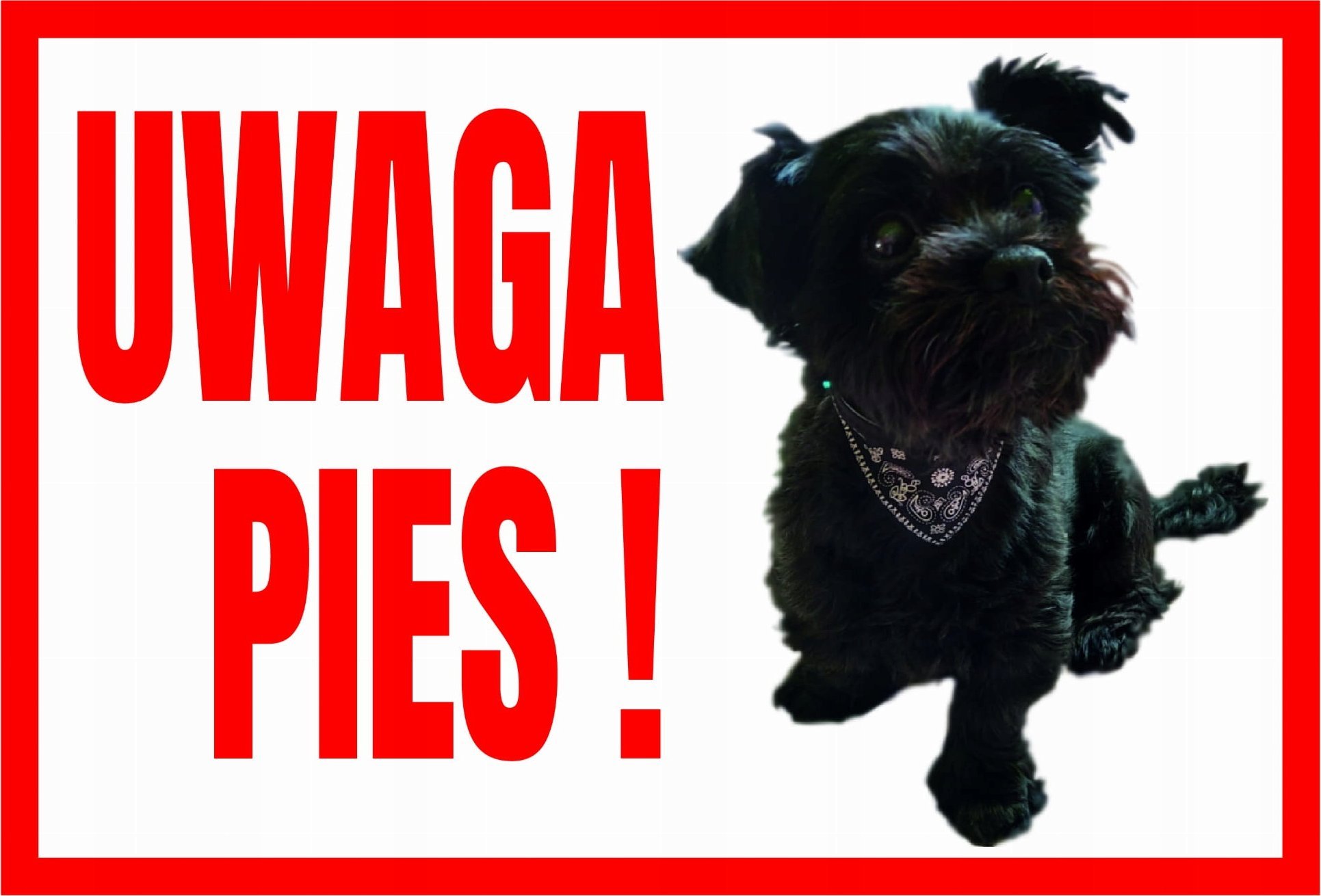 Mój dom Uwaga Pies Sznaucer - Tabliczka Ostrzegawcza Libres Polska Sp Tup-10 5902082237501