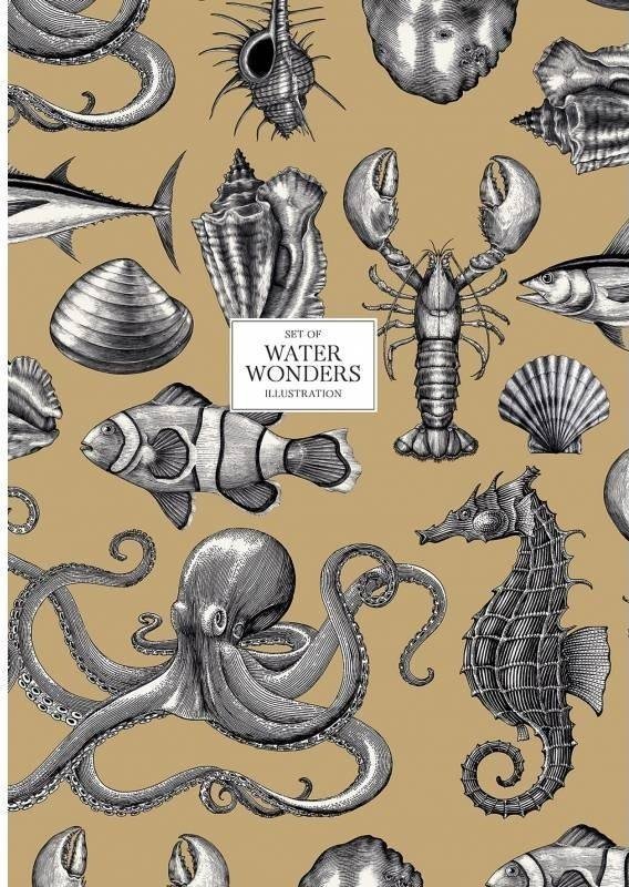 Astra Brulion A4/80K kratka Water Wonders ASTRA