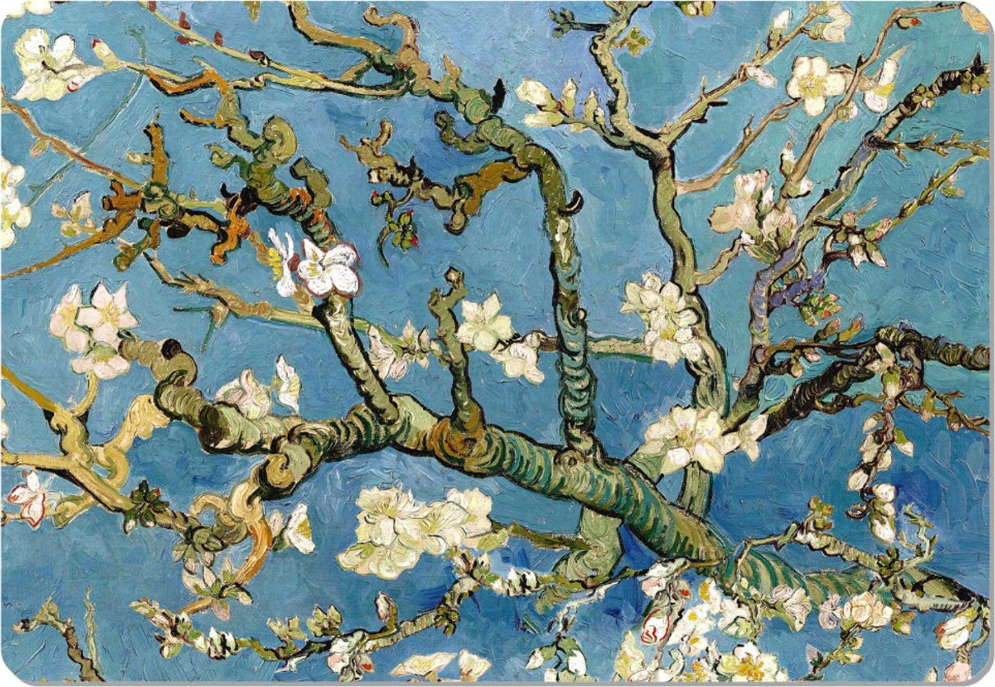 Bertoni Podkładka na biurko Almond 50x70 cm