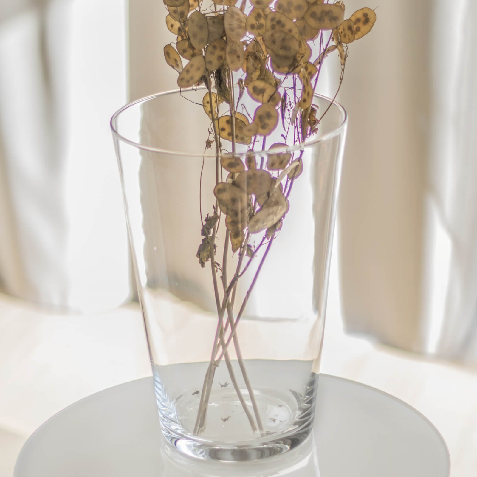 Direct Home and Garden Wazon KONISZ śr.18.5 cm