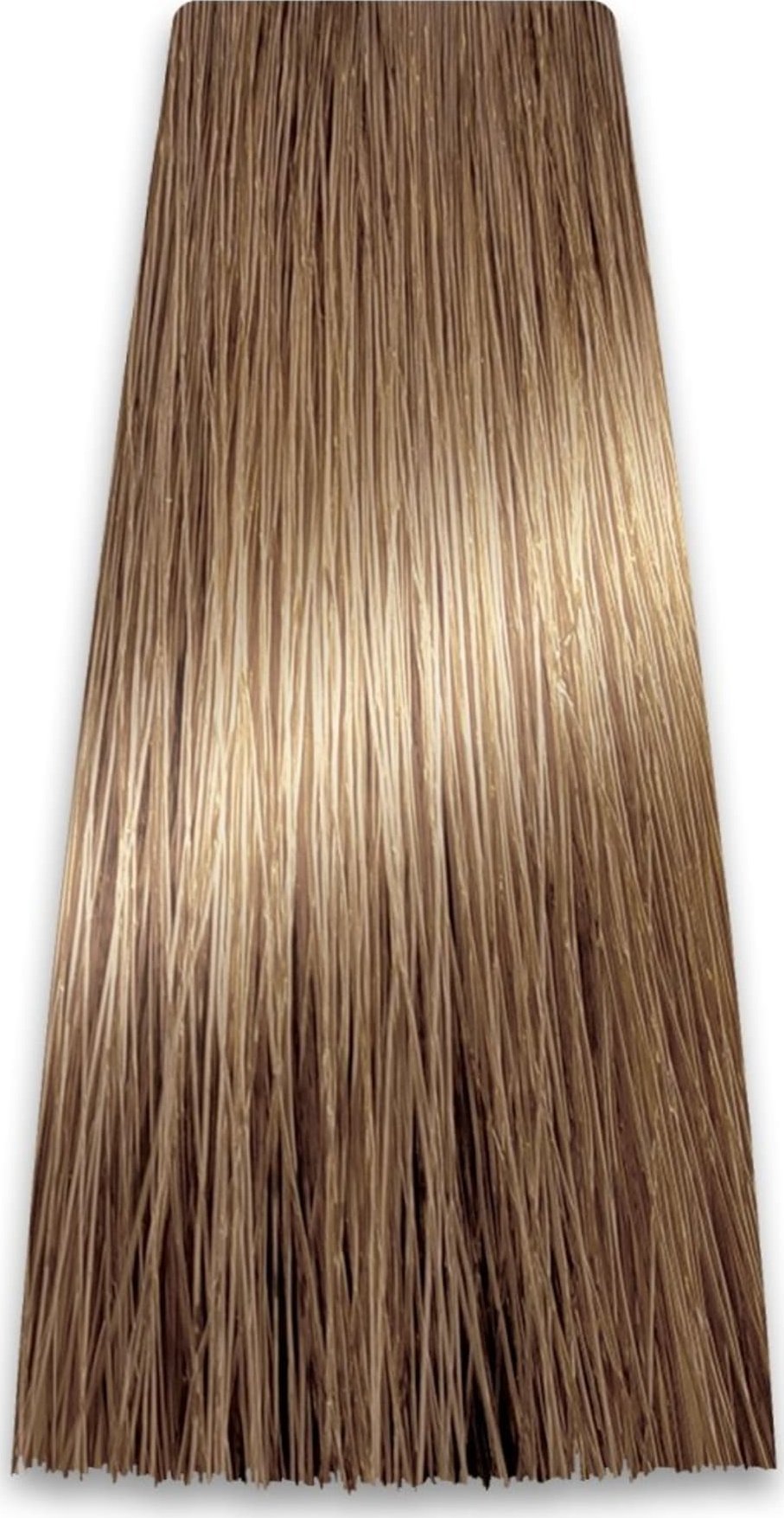 Chantal Prosalon Professional Intensis Color Art Profesjonalna Farba do włosów nr 8.0 średni blond 100g