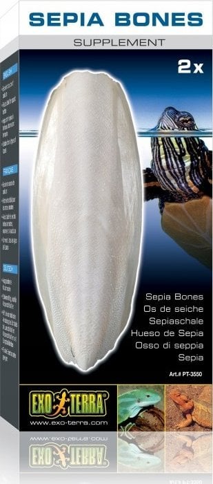 Exo Terra Sepia dla żółwia