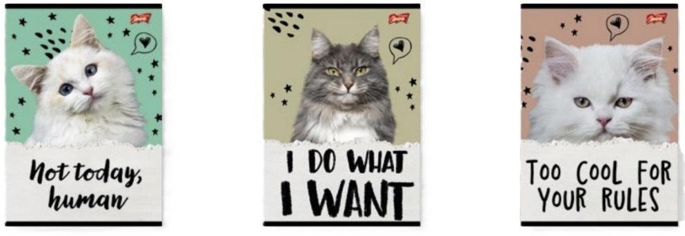 Zeszyt A5/32K linia podw. 2 kolor Caturday(15szt) EDUKAMP