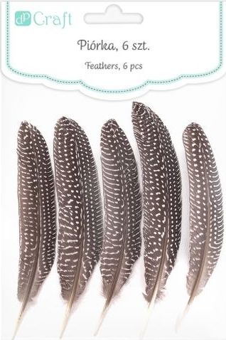 DP Craft Pióra bażanta DPCRAFT 18-20cm 5szt. Dalprint