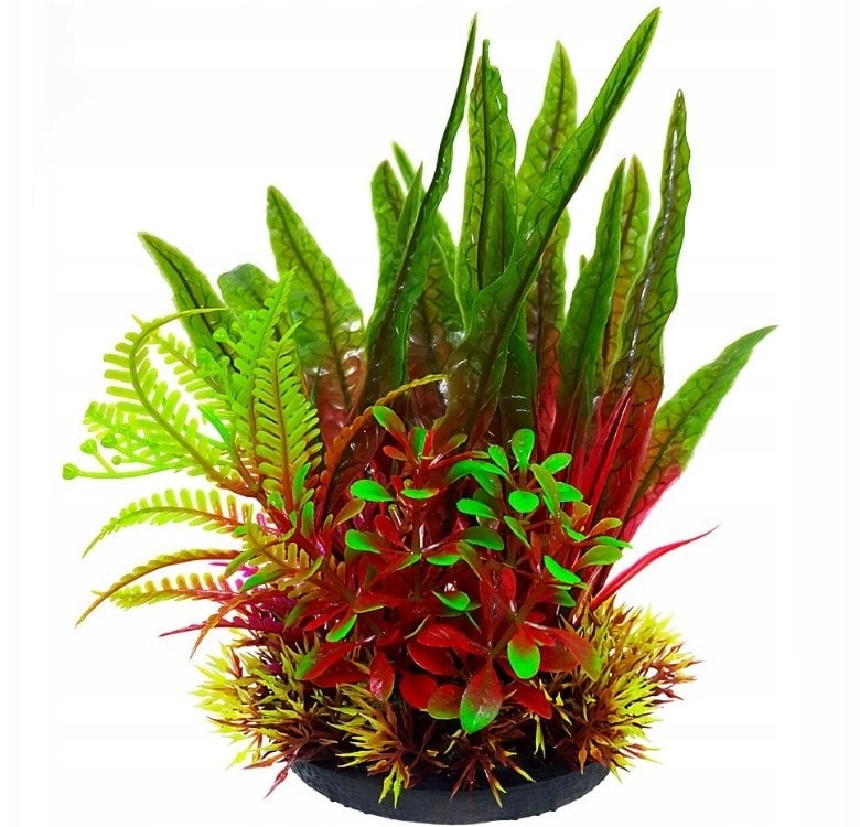 Terra Natura Aqua Natura, roślina do dekoracji akwarium, bordowo-zielona, plastikowa, 18 cm, mix roślin