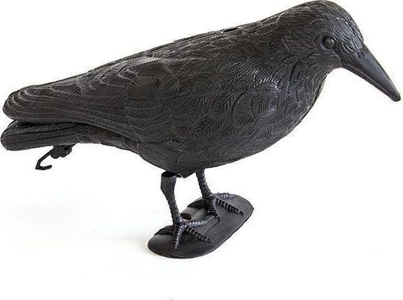 Home Appliances Kruk - odstraszacz ptaków- Plastikowy