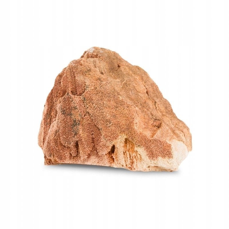 Skała z czerwonymi żyłami, dekoracyjna do akwarium / terrarium 10-25 cm