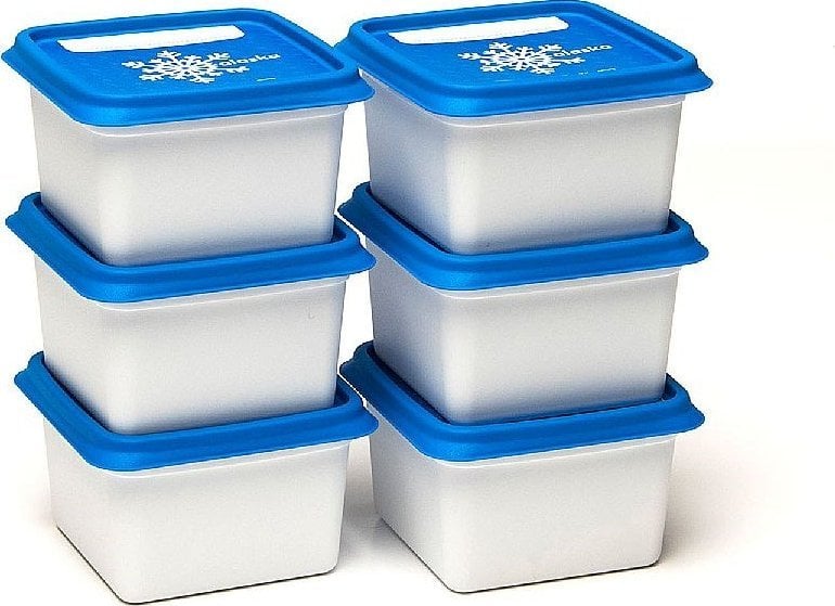 Amuse Pojemniki do zamrażarki Alaska 6x200ml