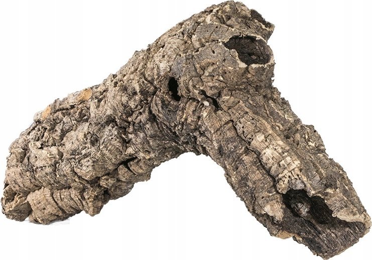 Terra Natura Dekoracja do terrarium tuby korkowe S-M, do 60cm (kraj pochodzenia Portugalia), 1kg