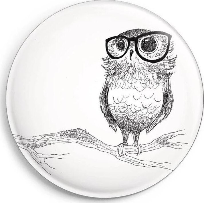 Magnes Sowa w okularach