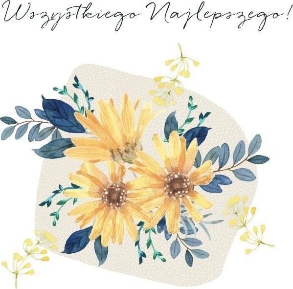 Karnet Swarovski kwadrat CL4501_PO Wszystkiego..