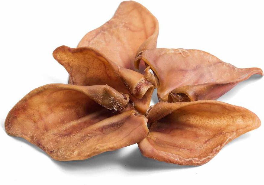 Arami UCHO WIEPRZOWE 25szt.