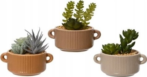 Kaemingk Kaktus w ozdobnej doniczce sztuczna roślina 13x13 cm